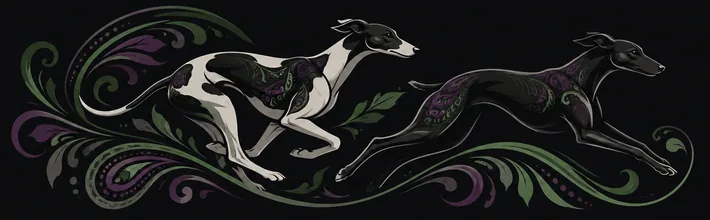 The two ClearTech greyhounds mid-stride